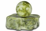 Polished Noble Serpentine Sphere with Base - Washington #341587-2